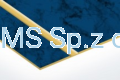 LT577-202, NIEBIAŃSKI NIEBIESKI / ZŁOTY